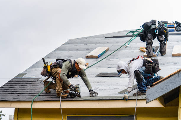 Professional Roofing technician working in Nevis, MN